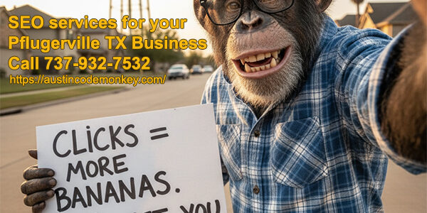 Pflugerville TX SEO Services
