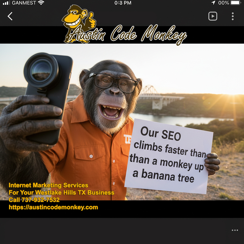 Austin Code Monkey Westlake Hills TX SEO Services Experts