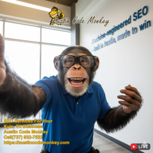 Austin Code Monkey Kyle TX SEO Service Company