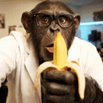 Austin Code Monkey provides customized SEO solutions across Austin, TX, leveraging local expertise to boost organic leads and conversions for businesses seeking measurable revenue growth.