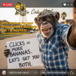 Pflugerville TX SEO Services
