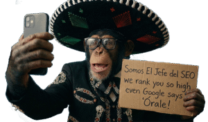 Austin Code Monkey Los Jefes De SEO