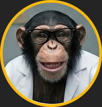 SEO Monkey