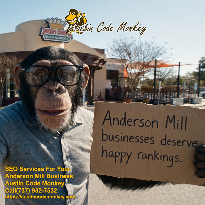 Austin Code Monkey Anderson Mill SEO Company