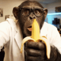 Austin Code Monkey provides customized SEO solutions across Austin, TX, leveraging local expertise to boost organic leads and conversions for businesses seeking measurable revenue growth.