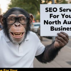 Austin Code Monkey SEO Service For North Austin Businesses