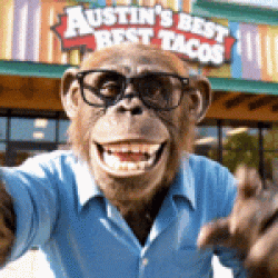 Austin Code Monkey extends its SEO expertise throughout Austin, TX, offering tailored solutions that enhance local search performance and deliver consistent, trackable growth in organic leads.