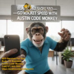 Austin Code Monkey is Buda TX SEO Service Company
