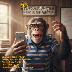 SEO Service Company in Dripping Springs TX