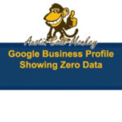 Google Business Profile Zero Data