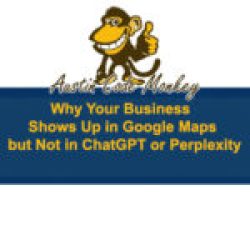 Difference between Google Maps VS ChatGPT Perplexity