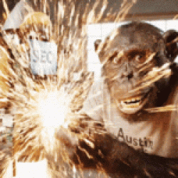 Austin Code Monkey crafts data-driven SEO campaigns that optimize local visibility and drive measurable organic leads for businesses across various sectors.