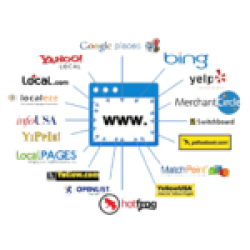 Austin Code Monkey does web citations