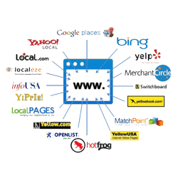Austin Code Monkey does web citations