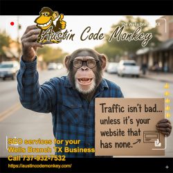 SEO services for Wells Branch TX businesses by Austin Code Monkey.