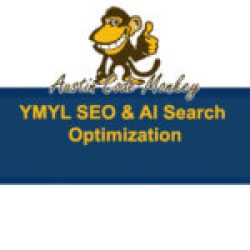 Austin Code Monkey Provides YMYL SEO & AI Search Optimization