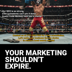 Austin Code Monkey brings ongoing, adaptive SEO services to all of Austin, TX