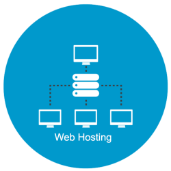 Austin Code Monkey Offers Best Web Hosting In Austin Texas