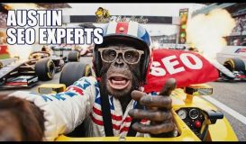 🏎️ More Torque. More Clicks. Austin Code Monkey — Your SEO Race Crew 🦍 🏎️ More Torque. More Clicks. Austin Code Monkey — Your SEO Race Crew 🦍